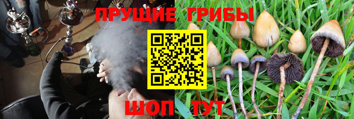 Галлюциногенные грибы мухоморы  Галлюциногенные грибы GOLDEN TEACHER  Усть-Лабинск  Вход с VPN 